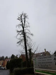 À l’Eure de l’Espace Fleuri à Longchamps