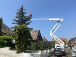 Habitation Jardin : Beck Espace Vert – Élagueur 59 | Taille Élagage Abattage Arbres Haies Entretien Démoussage Nord Lille à Lambersart