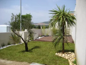 Botania à Vailhauquès