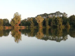 Stauth Paysage à Saint-Georges-sur-Eure