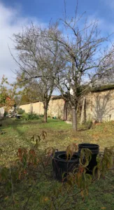 ATZ Paysages et Services à Champagne-sur-Seine