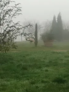 Naturel à Fontenilles