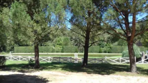 TOUTVERDI à Bailleau-Armenonville