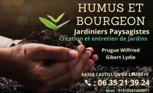 Humus et bourgeon à Castillon