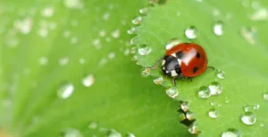 Au Bio Jardin à Rezé