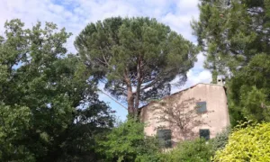 Najagage à Marseille