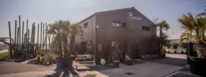 La Pépinière by Jardins Design’s – Paysagiste & Pépinière à Arvert à Arvert