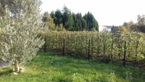 Landaburu Frederic à Nieulle-sur-Seudre