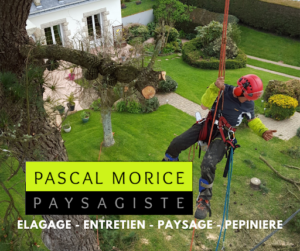 Landscape Pepiniere Pascal Morice à Theix-Noyalo