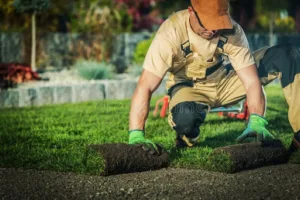 ABC Jardin – Paysagiste à Sète