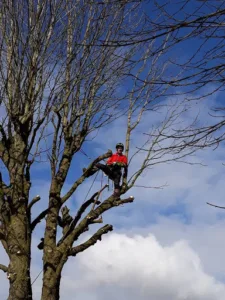 Accro Paysage à Lagnieu