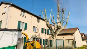 A et J Plants à Grézieu-la-Varenne