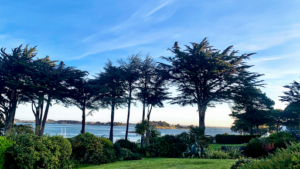 Viridis à Octeville-sur-Mer