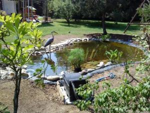 SARL LEFEVRE Parcs et Jardins à Les Essarts-le-Roi