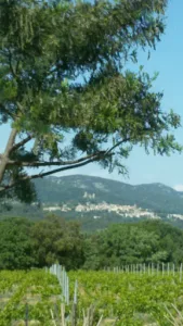 Riviera Pools and Gardens à Cogolin
