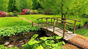 Aréo Jardin à Cholet
