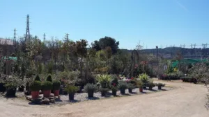 Prestijardin à Allauch