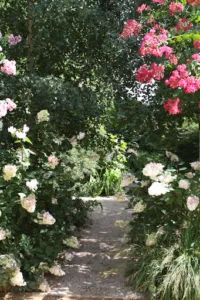 PREMAT JARDINS à Saint-Fargeau-Ponthierry
