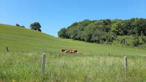 Les 2 Ifs Espaces Verts à Tourville-les-Ifs