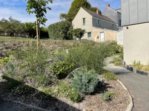 L’atelier au fond du jardin à Chalonnes-sur-Loire
