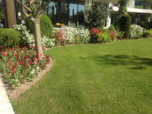 Paysagiste / Aménageur d’Espace -Les Jardins du Rempart à Anse