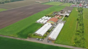 Paysages Adrien Ettwiller et Fils à Sainte-Croix-en-Plaine