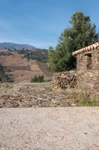 Pierre en Paysage à Banyuls-sur-Mer