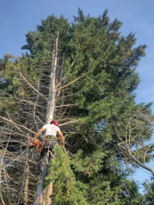 2B Nature à Royaucourt-et-Chailvet