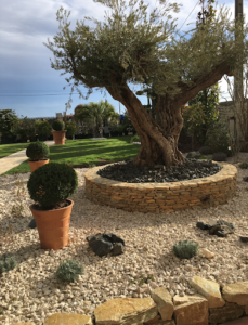 Les Jardins de Régine à Romans-sur-Isère