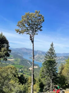 Ciel arbre et terre à Barcelonnette