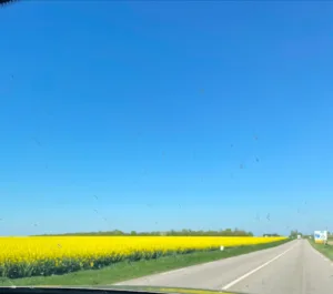mg paysage à Malville