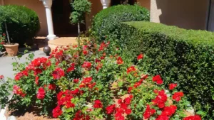 Sarl A.Lagarde à Perpignan