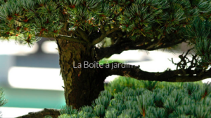 La Boîte à Jardin à Montivilliers