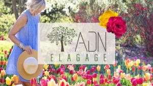 ADN Élagage | Paysagiste 91 à Paray-Vieille-Poste