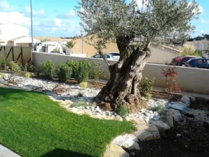 Verde Service à Quissac
