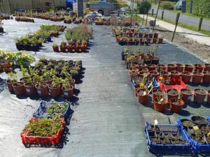 Pépinière le Jardin Educatif à Trélévern
