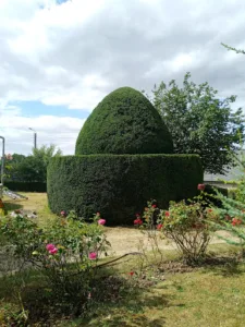 Concept Garden new à Laval-en-Laonnois