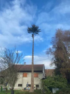 L3S paysage à Ruffieux