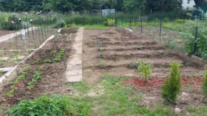 Autour De Mon Jardin à Ostwald
