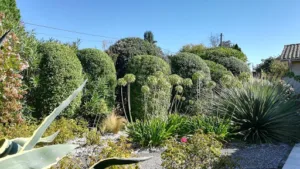 K Paysage à La Teste-de-Buch