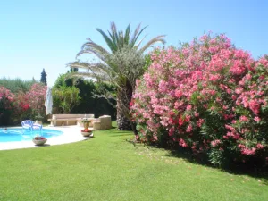 Rolando Paysages à Antibes