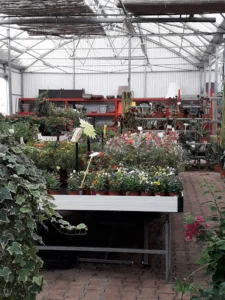Pépinière Horticole du Midi à Perpignan