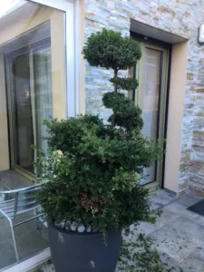 L’ACCORD DES JARDINS à Mirambeau