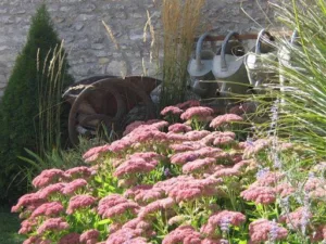 Jardin Passion Paysage à Nieuil-l'Espoir