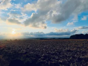 Oxalis Paysages à Le Castelet