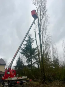 Nature et Co à Avillers
