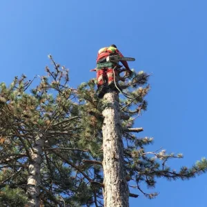 Sk Paysagiste à Fontainebleau