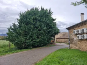 SARL JARDIN ET PISCINE – Entretien de Jardin et de Piscine à Allex