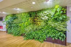 Garden Events – Murs Végétaux & Paysagiste Dintérieur à Saulges