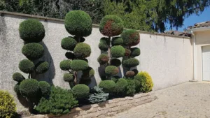 Dury Paysagiste à Cailloux-sur-Fontaines